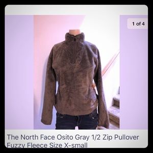 The northface osito.